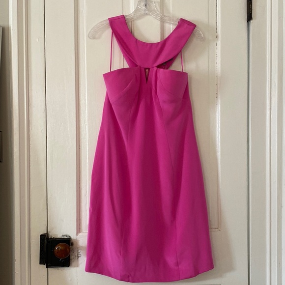 Hoaglund Dresses & Skirts - COPY - Hoaglund Pink Dress NWT 10